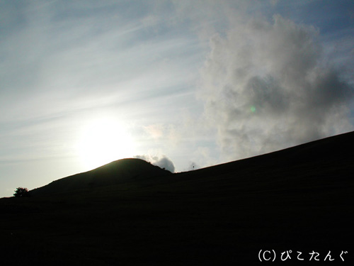 姫ヶ岳　2011年5月下旬