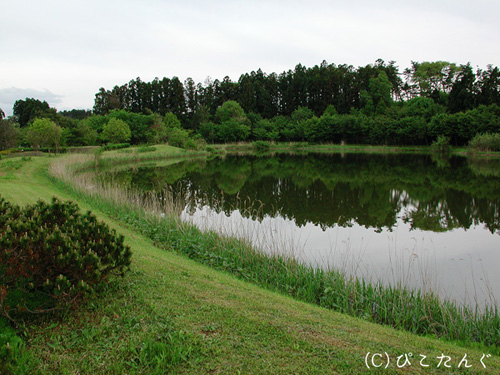 鞍掛沼公園　2011年5月下旬