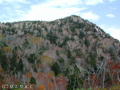 石倉岳　2009年10月中旬