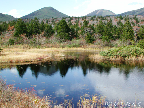 睡蓮沼（左：硫黄岳、右：大岳）　2009年10月中旬