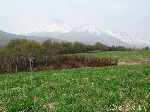 残雪の八甲田山　2011年5月下旬