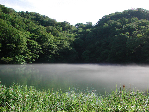 十二湖　湖沼群　2009年7月下旬