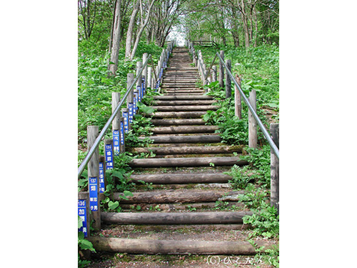 日本一のズリ山階段　137段目　2010年5月　137段目で軽く見上げる。