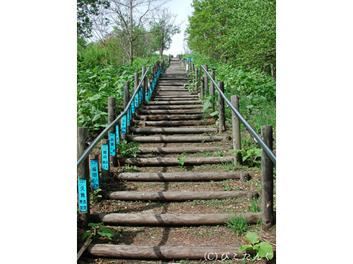 日本一のズリ山階段　300段目　2010年5月　300段目で一休み。