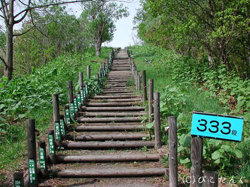 日本一のズリ山階段　333段目　2010年5月　ぞろ目ごとに小休止することに。