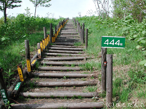 日本一のズリ山階段　444段目　2010年5月　ぞろ目・・・。