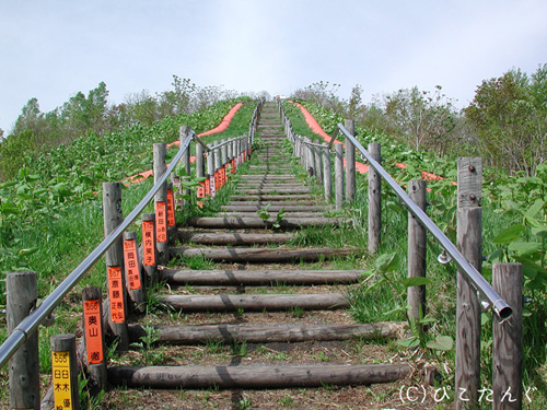 日本一のズリ山階段　555段目　2010年5月　ぞろ目・・・あ、足が・・・。