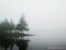 霧の知床五湖　一湖