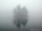 霧の知床五湖　三湖