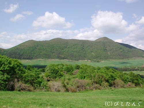 七時雨山より田代山を望む　2011年6月上旬