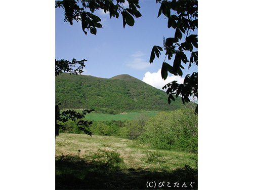 七時雨山より田代山を望む　2011年6月上旬